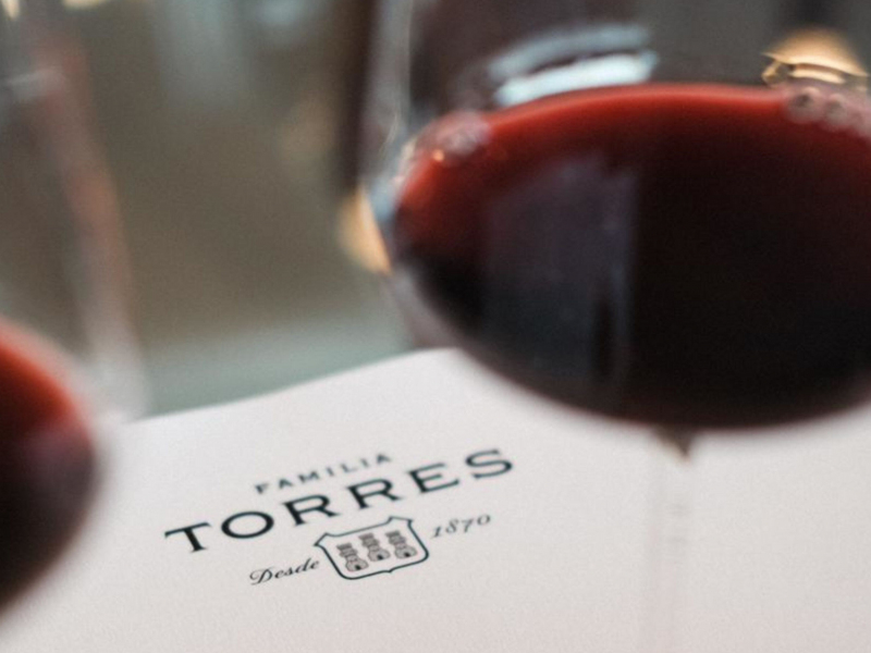 torres wines image 1 (1)