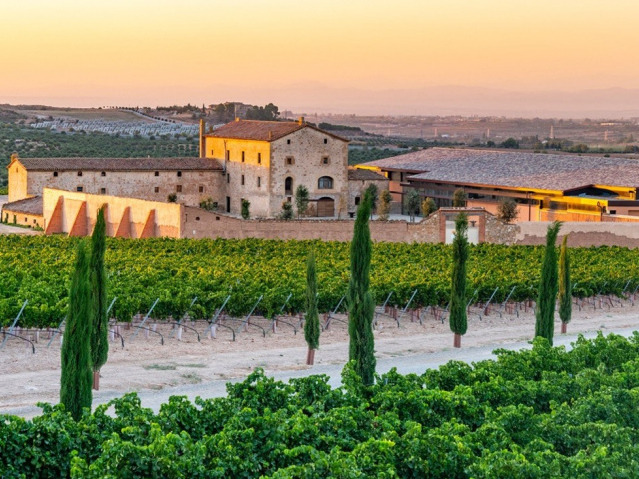torres wines image (2) (1)